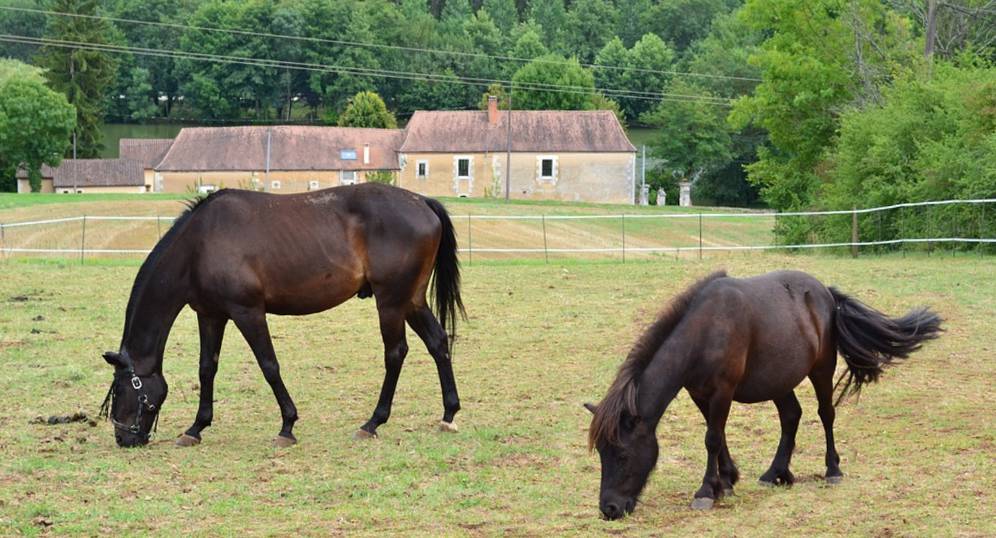Gite with riding